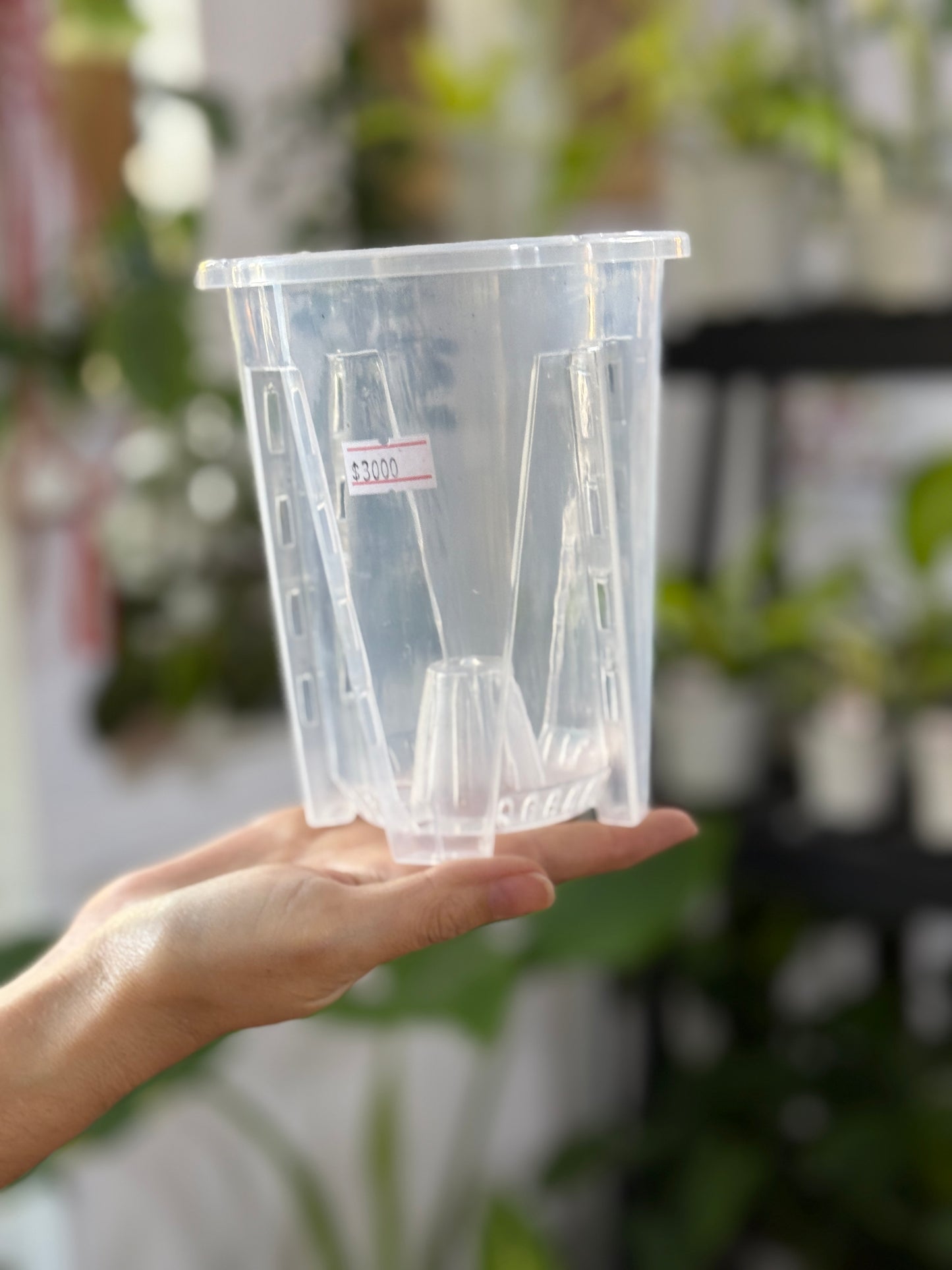 Macetero plástico transparente grueso (vivero)