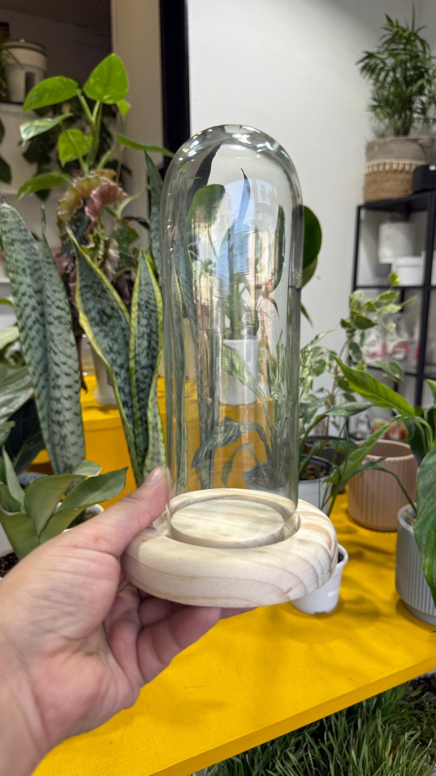 Cúpula mini larga (7x18)