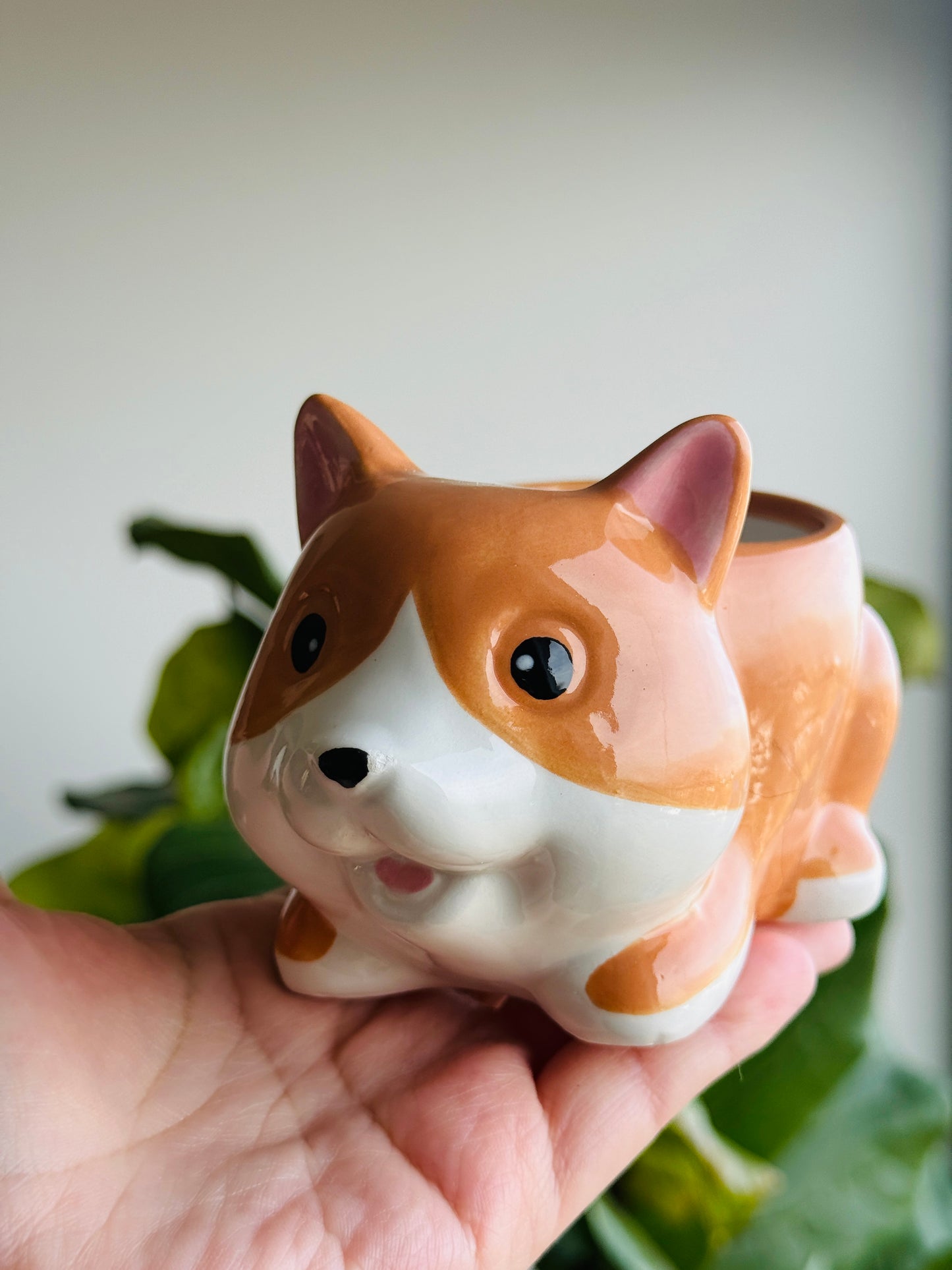 Macetero animales