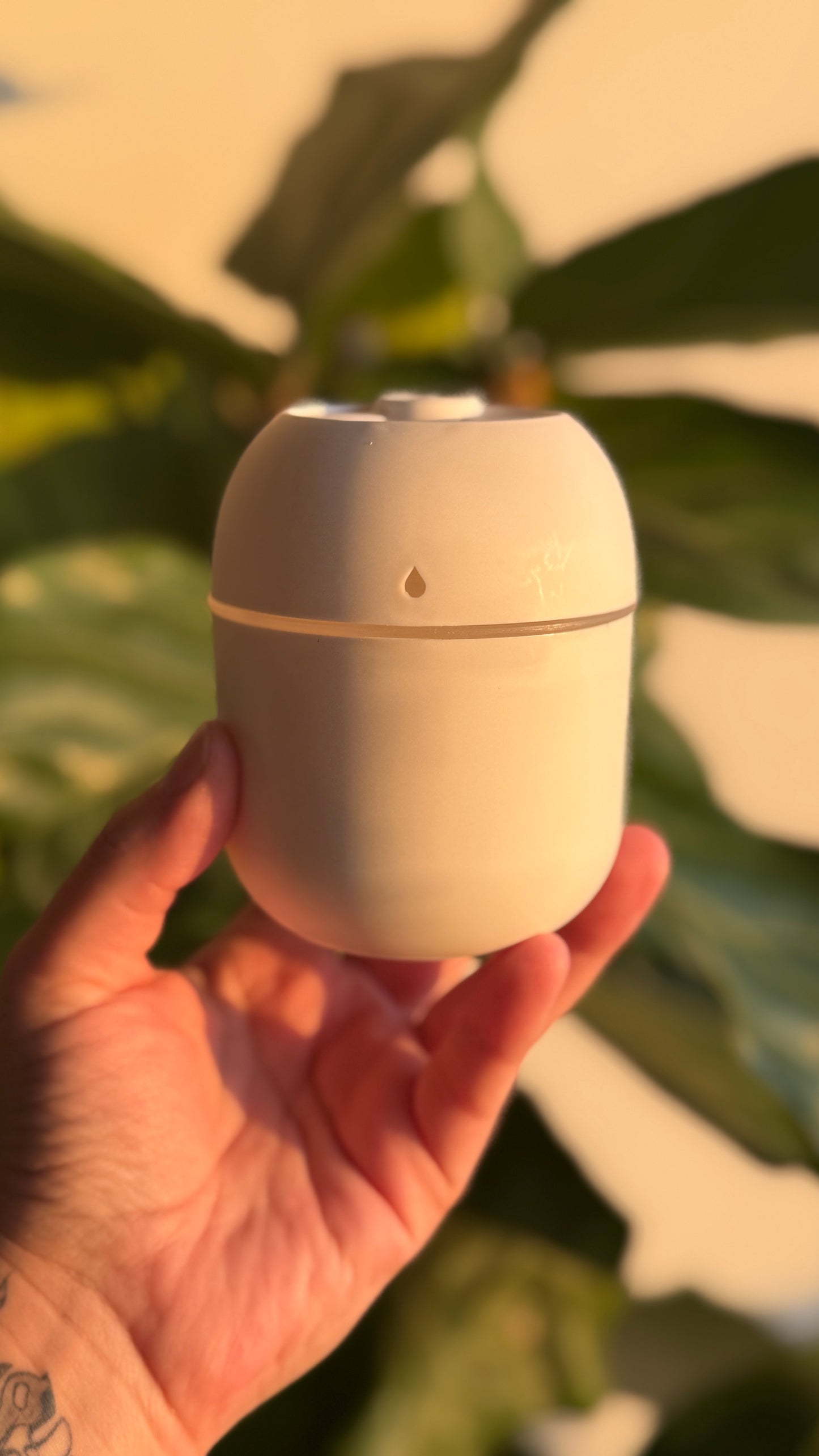 Humidificador