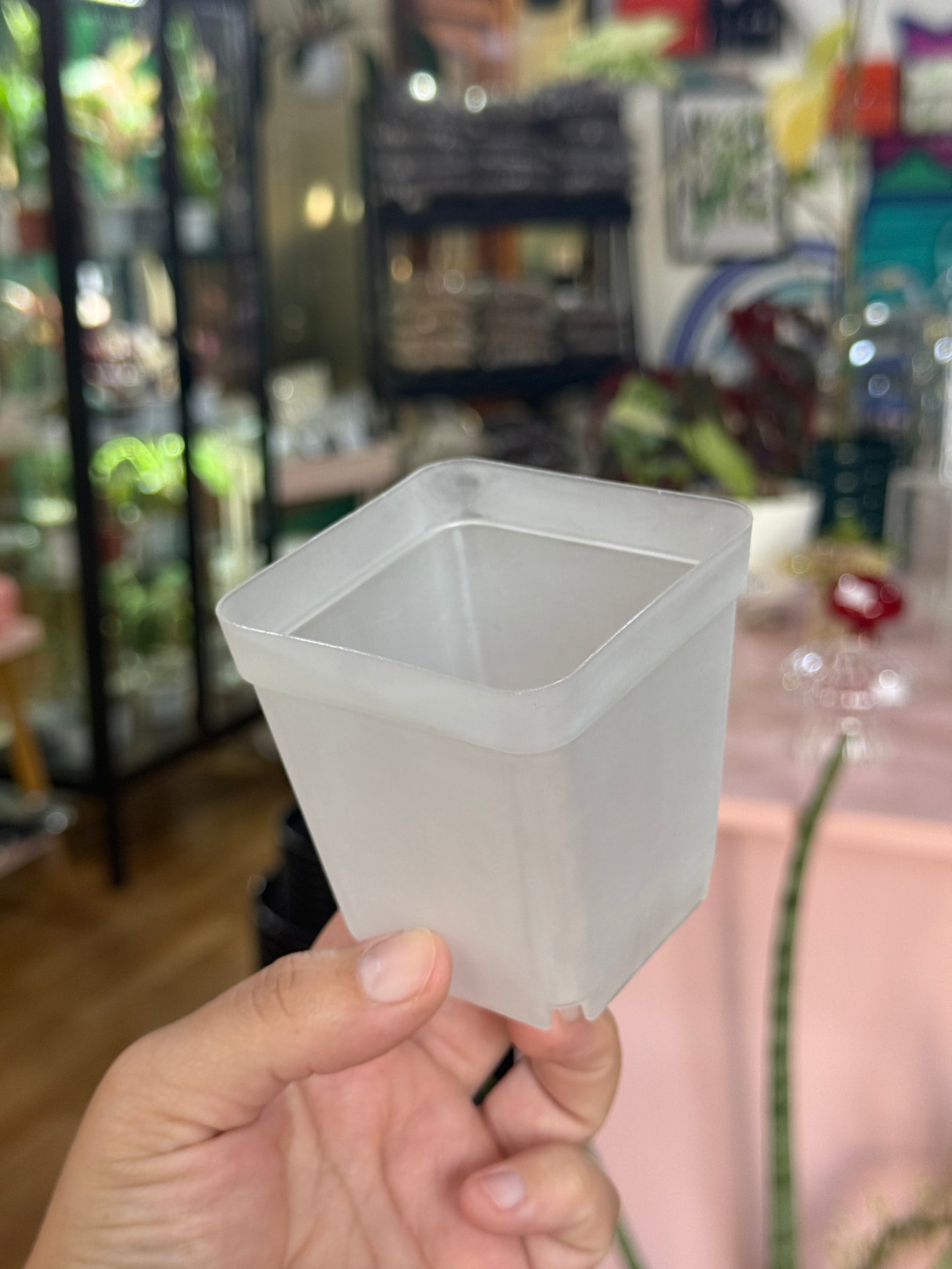 Macetero plástico transparente grueso (vivero)