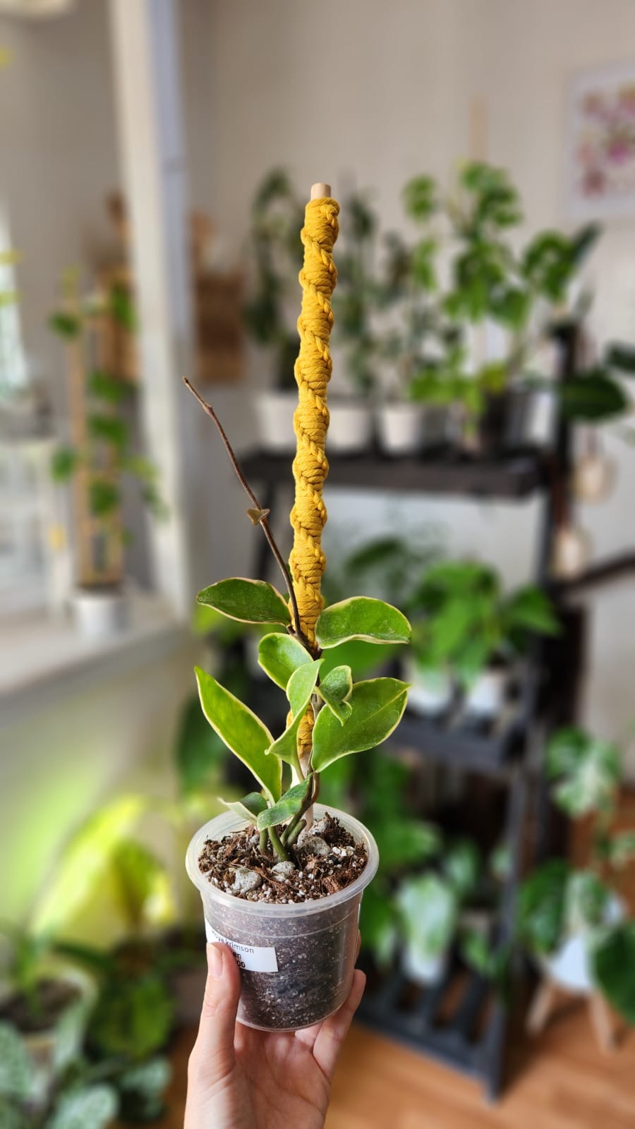 Tutores Macrame