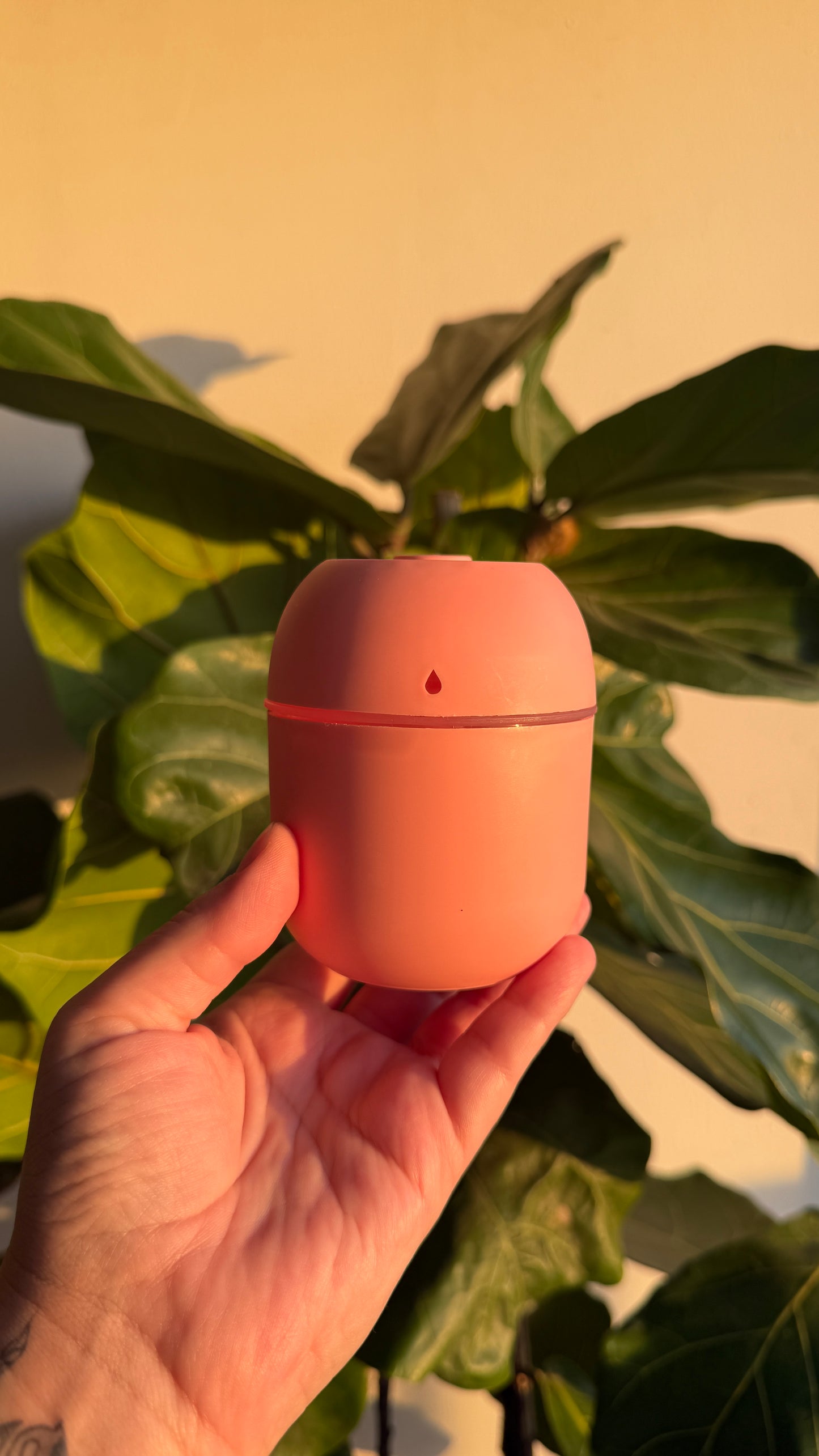 Humidificador