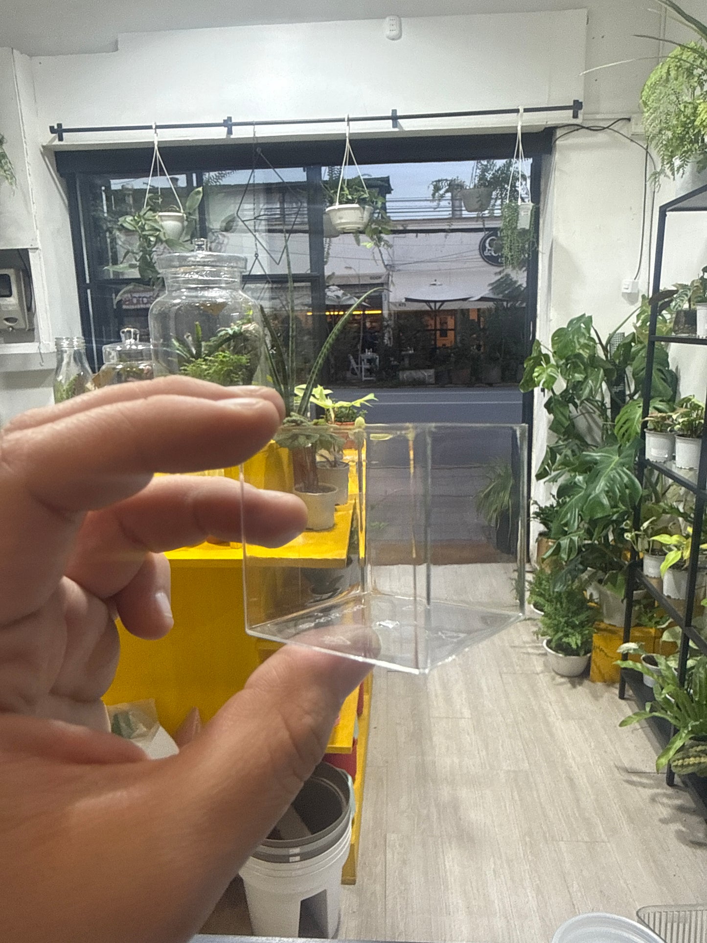 Macetero plástico transparente grueso (vivero)