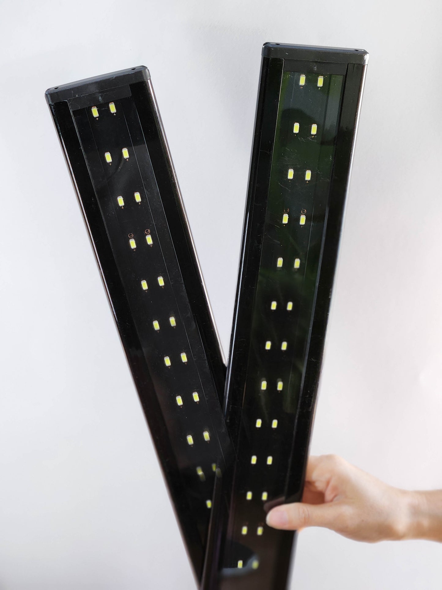 Luz crecimiento