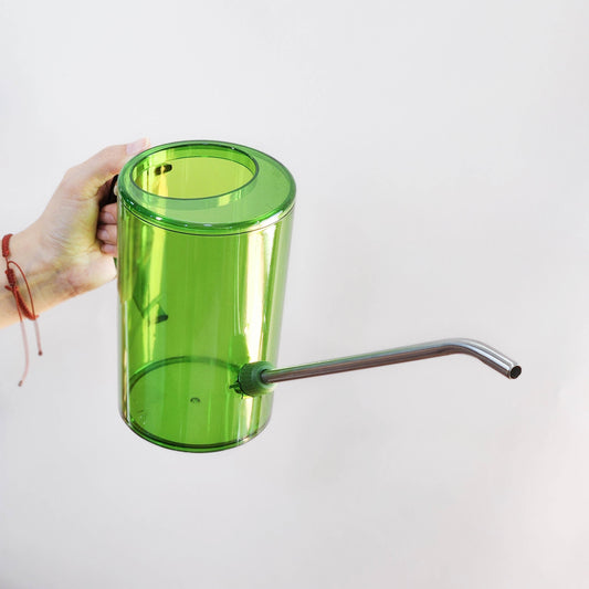 ¿Cuándo regar tus plantas?