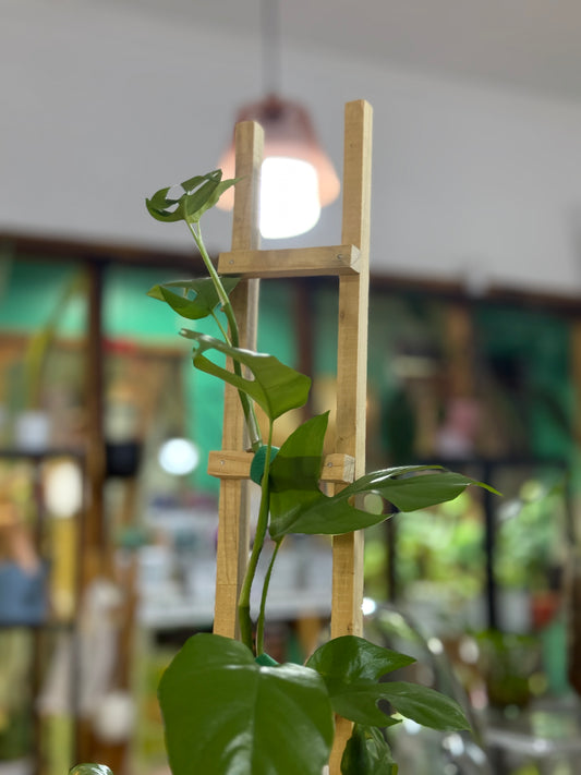 Escalera
