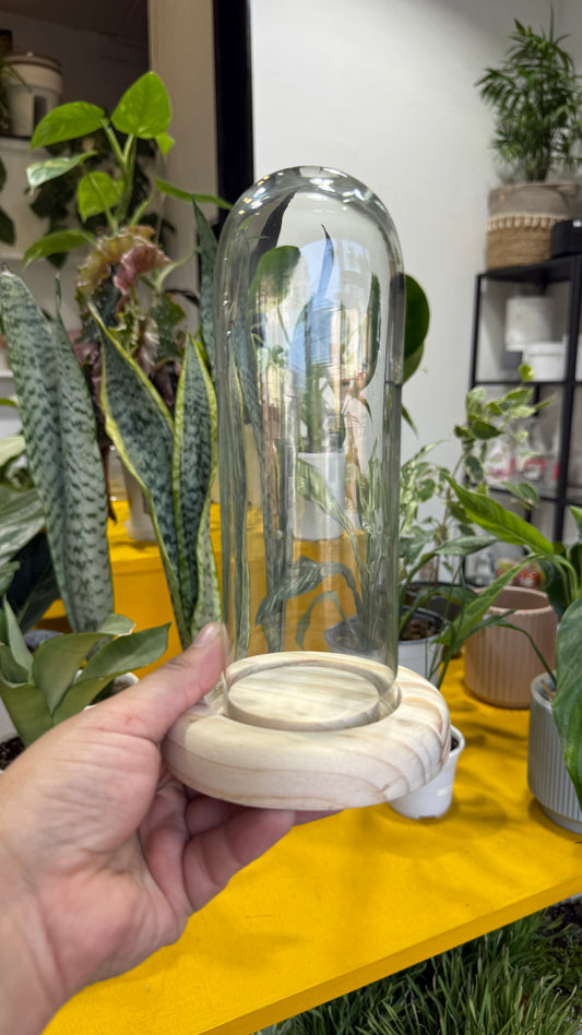 Cúpula mini larga (7x18)