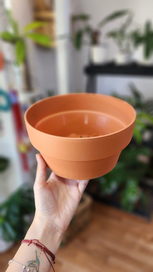 Maceta baja color terracota
