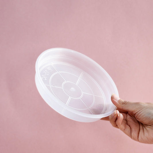 Platos transparentes gruesos