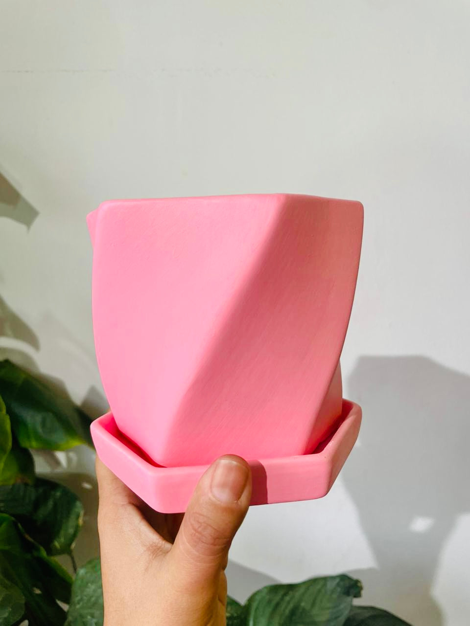 Macetero rosa con plato