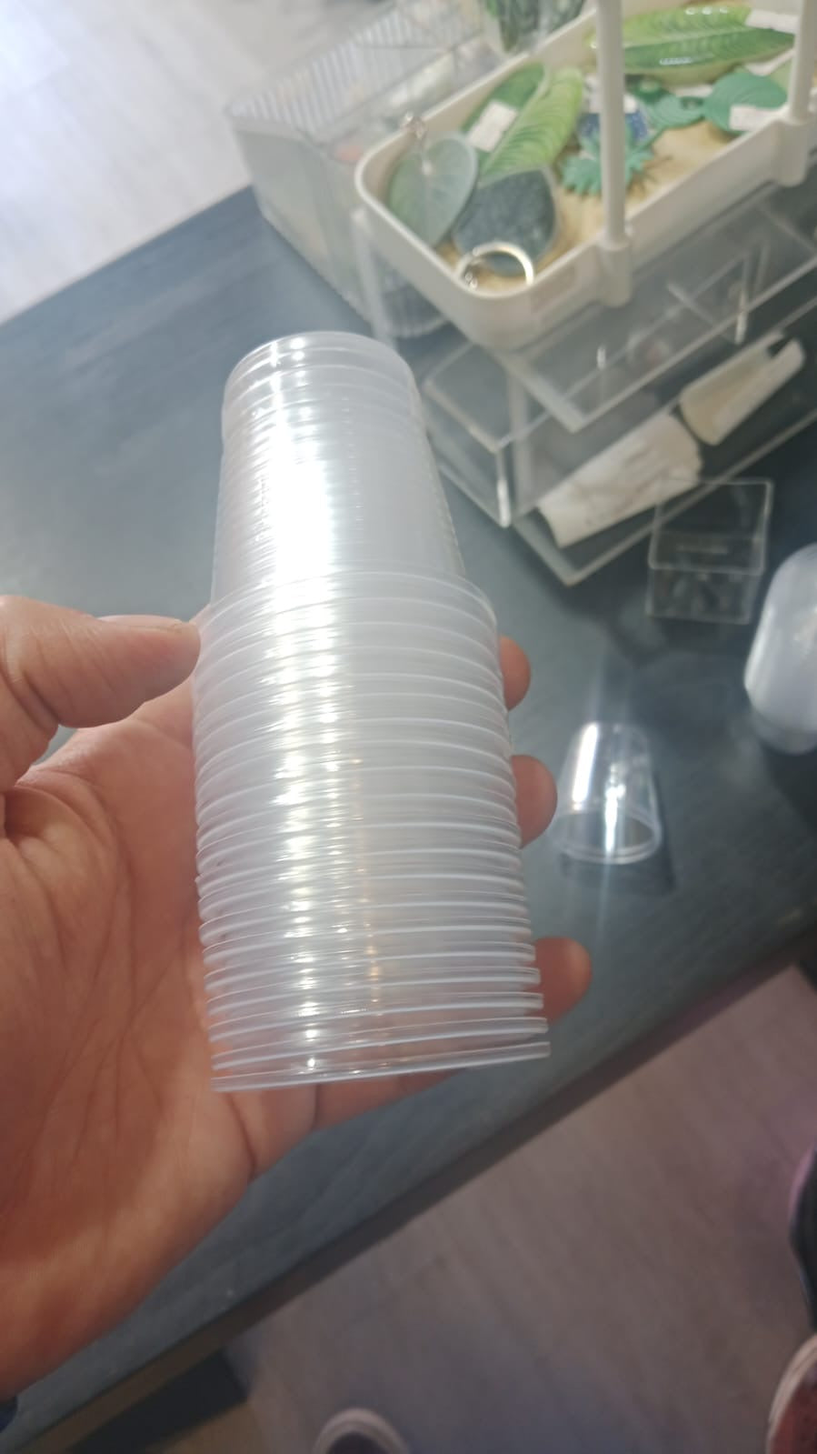Macetero plástico transparente delgado (vivero)