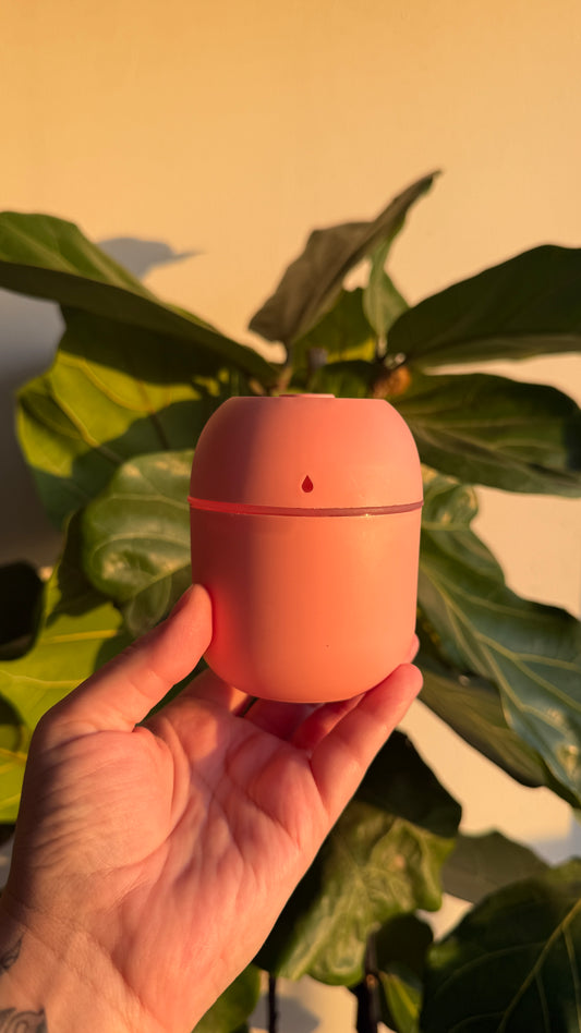 Humidificador