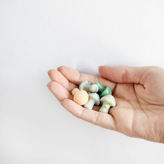 Honguitos piedra colores
