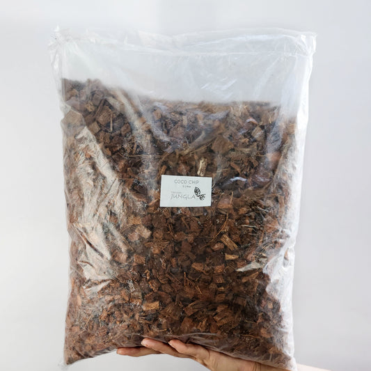 Coco chip