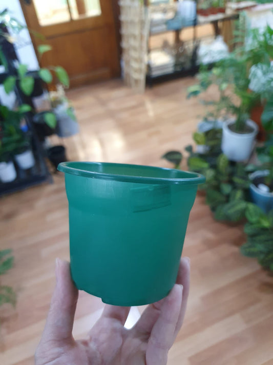 Macetero mini verde