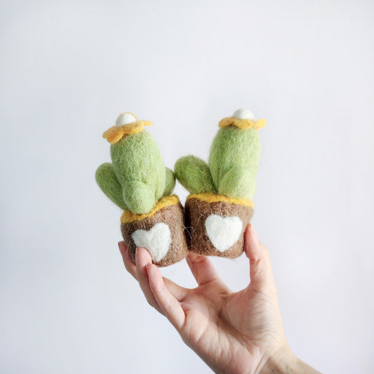 Cactus fieltro