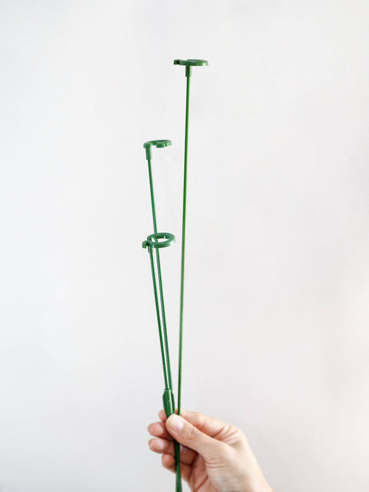 Tutor vara verde con gancho