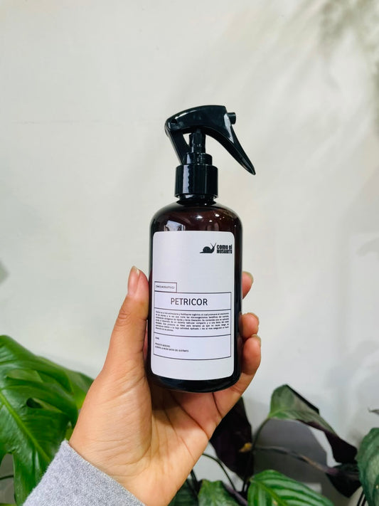 Petricor