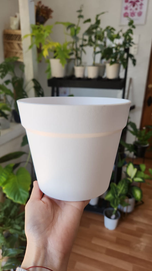 Macetero liso blanco