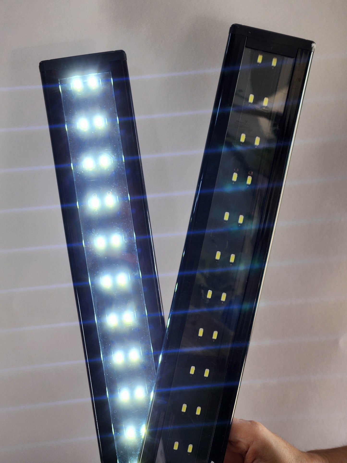 Luz crecimiento