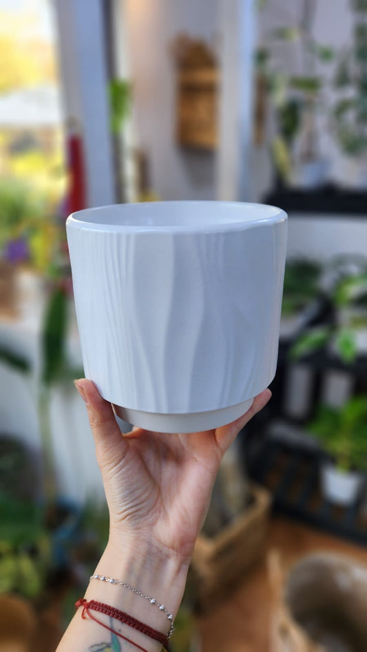 Maceta ondas cerámica