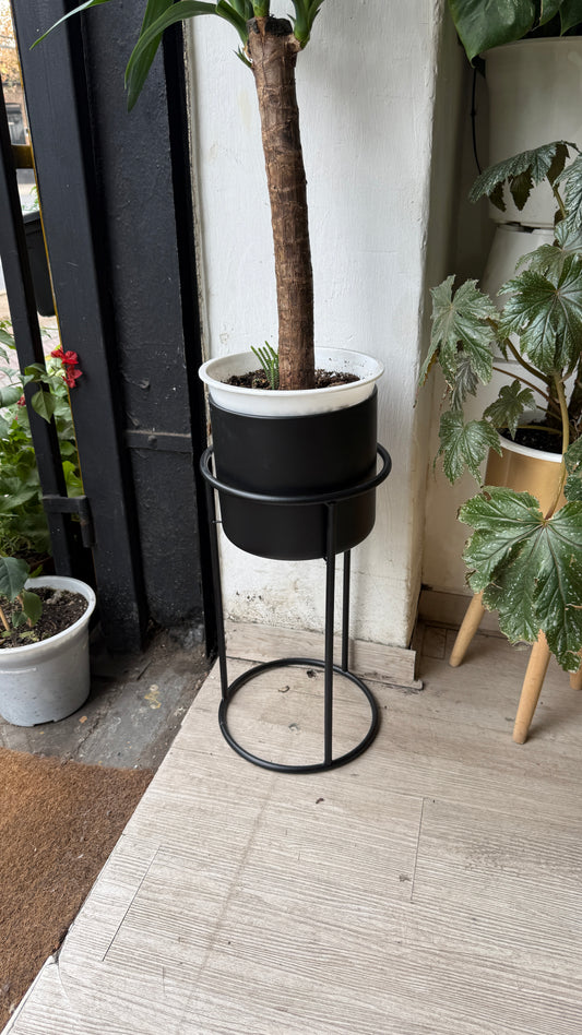 Pedestal negro