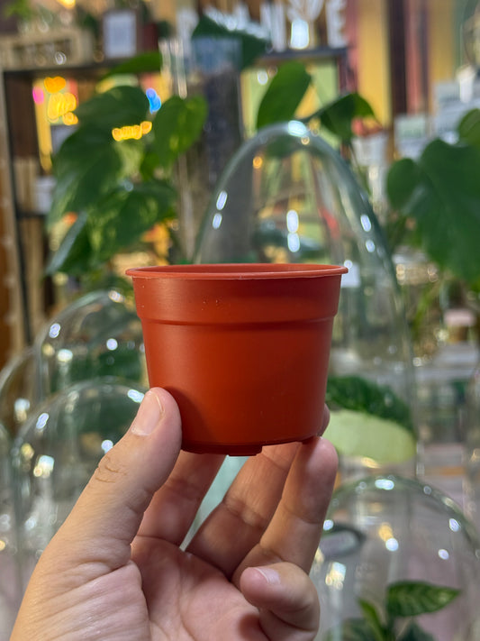 Macetero mini plástico