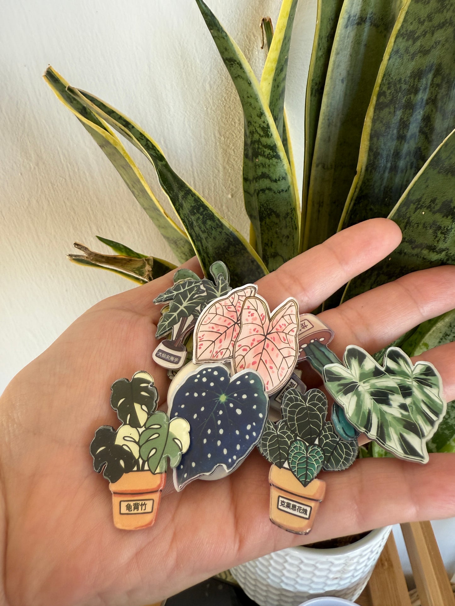 Mini imanes variedades