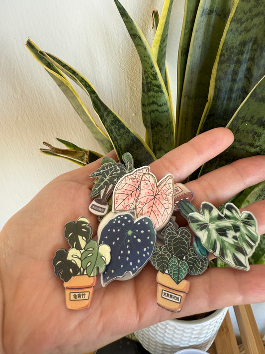 Mini imanes variedades